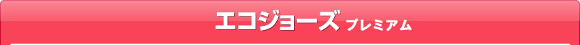 エコジョーズ マンションタイプ